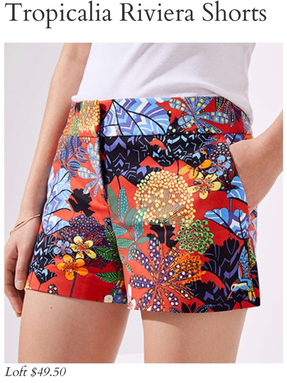 LOFT Tropicalia Riviera Tropical Bird Floral Shorts Size 2 Resort Vacation